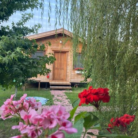Inlice Uenzile Bungalow Inlice Kamp Fethiye Dış mekan fotoğraf