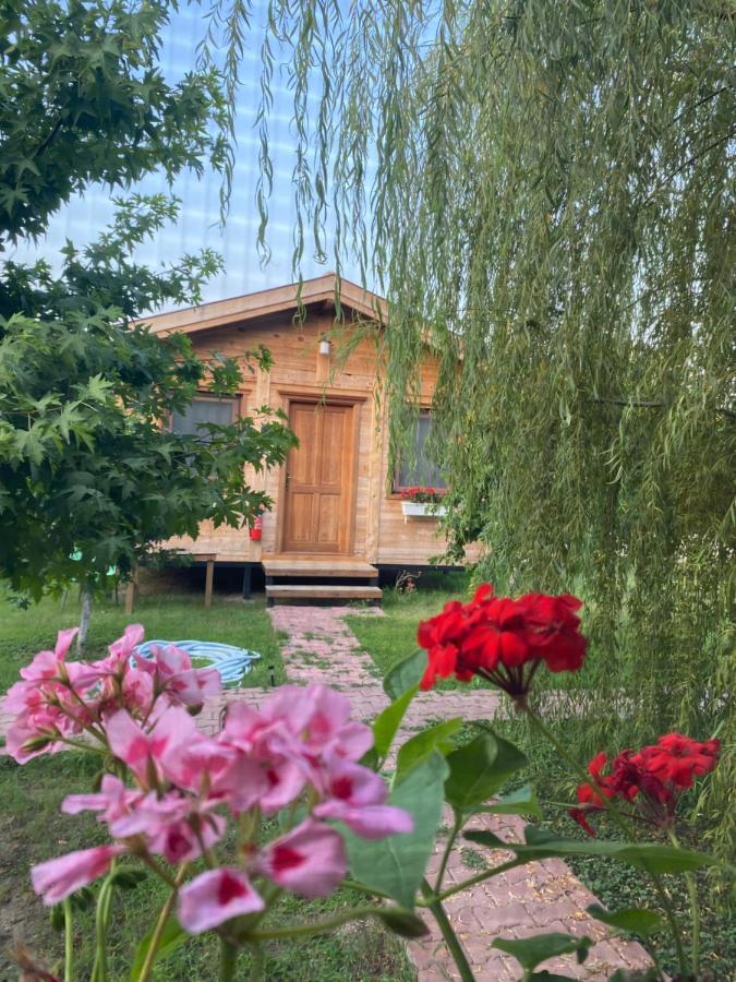 Inlice Uenzile Bungalow Inlice Kamp Fethiye Dış mekan fotoğraf
