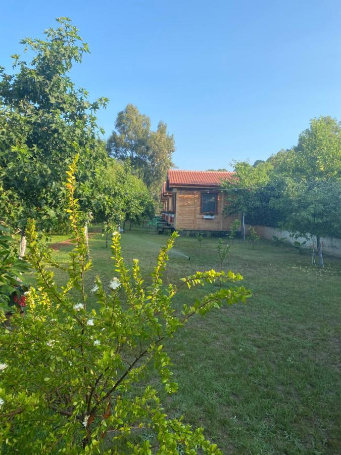 Inlice Uenzile Bungalow Inlice Kamp Fethiye Dış mekan fotoğraf