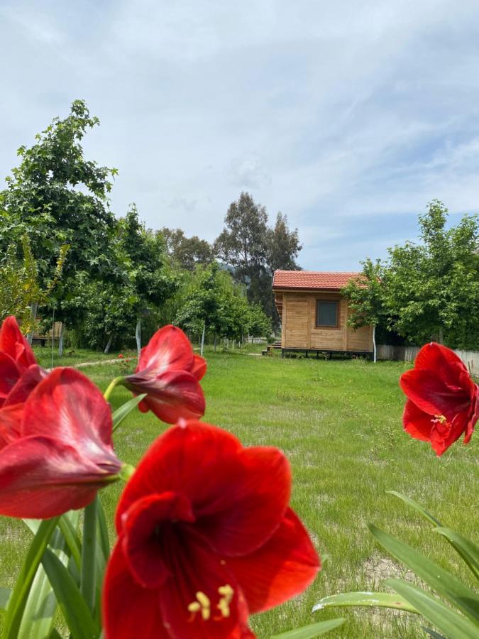 Inlice Uenzile Bungalow Inlice Kamp Fethiye Dış mekan fotoğraf
