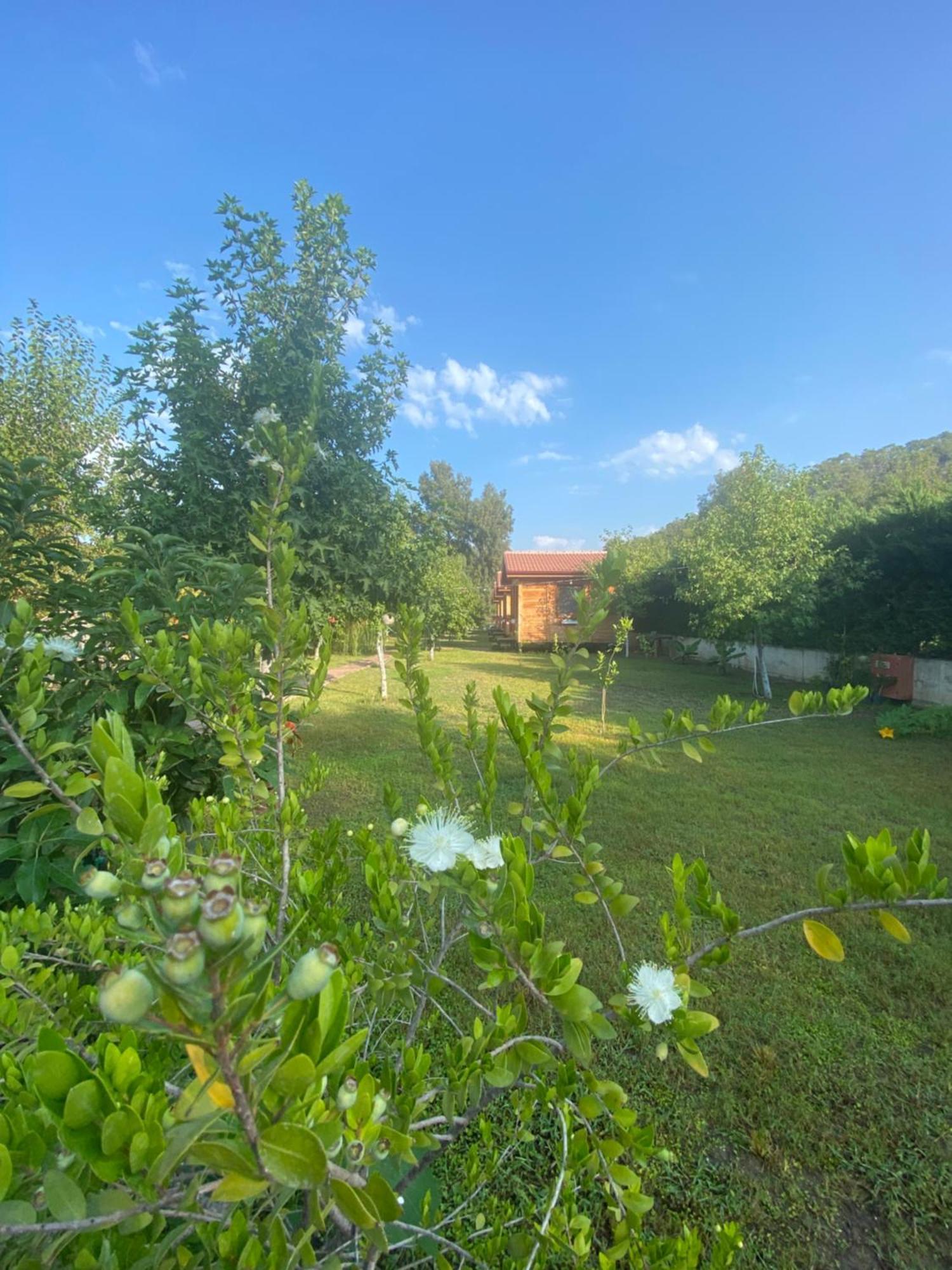Inlice Uenzile Bungalow Inlice Kamp Fethiye Dış mekan fotoğraf